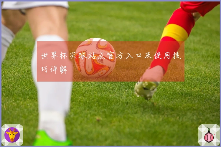 世界杯买球站点官方入口及使用技巧详解