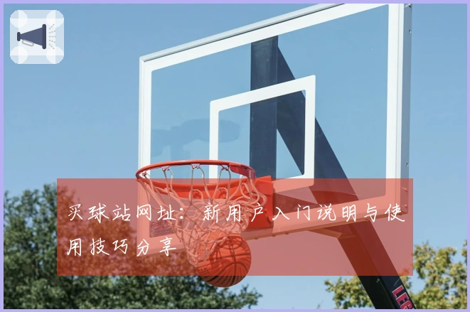 买球站网址：新用户入门说明与使用技巧分享