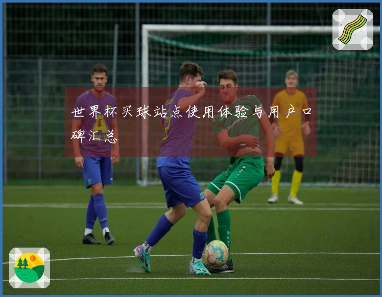 世界杯买球站点使用体验与用户口碑汇总