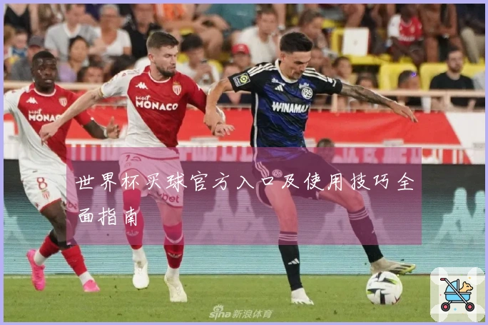 世界杯买球官方入口及使用技巧全面指南