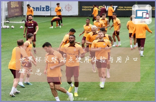 世界杯买球站点使用体验与用户口碑汇总