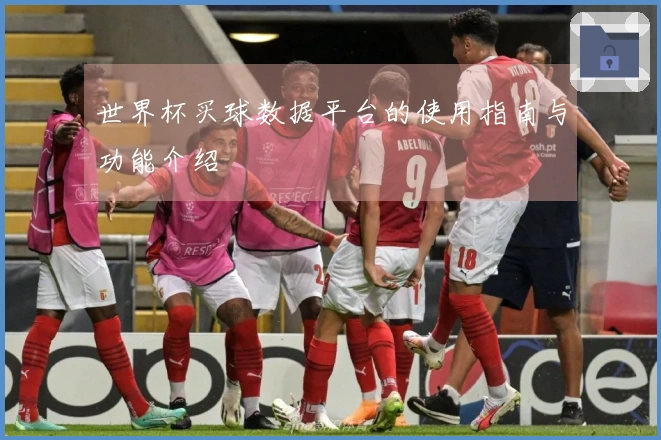 世界杯买球数据平台的使用指南与功能介绍