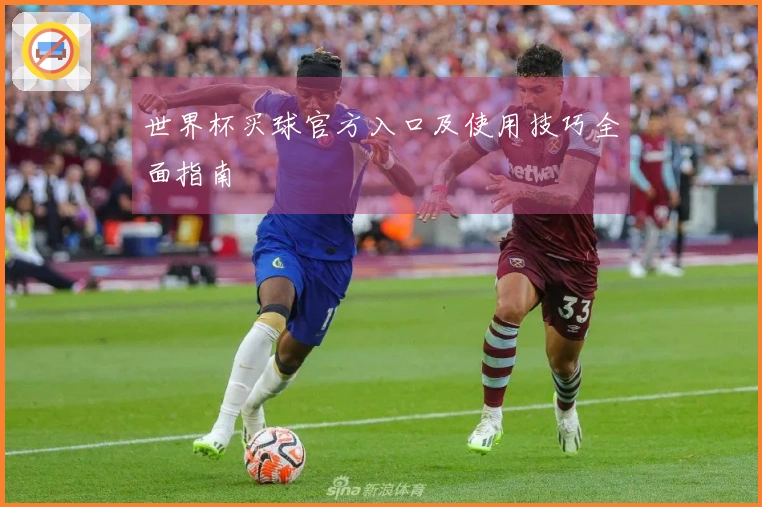 世界杯买球官方入口及使用技巧全面指南